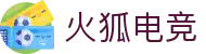 火狐电竞·(中国区)电子竞技平台