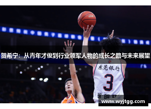 贺希宁：从青年才俊到行业领军人物的成长之路与未来展望