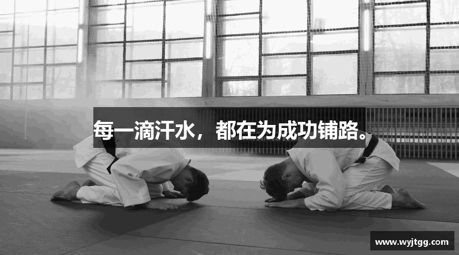 米兰官网每一滴汗水，都在为成功铺路。